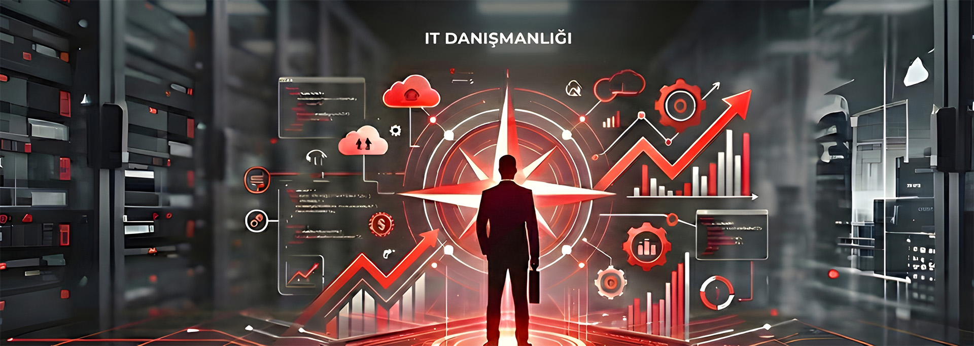 IT Danışmanlığı
